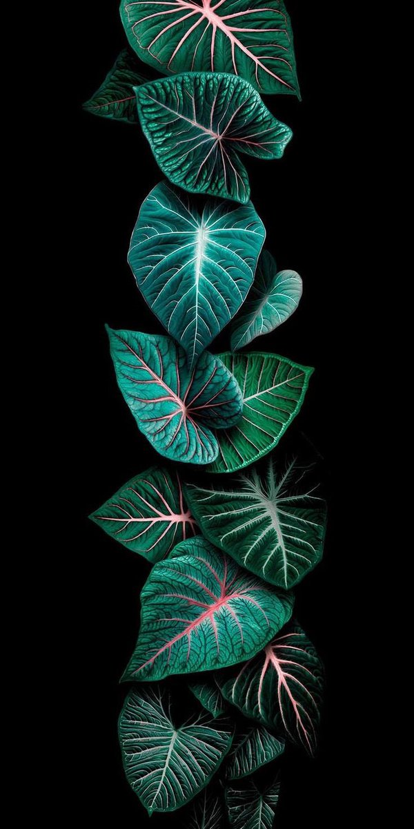 Neyse ki yarın var. Umutların en sevdiği gün.