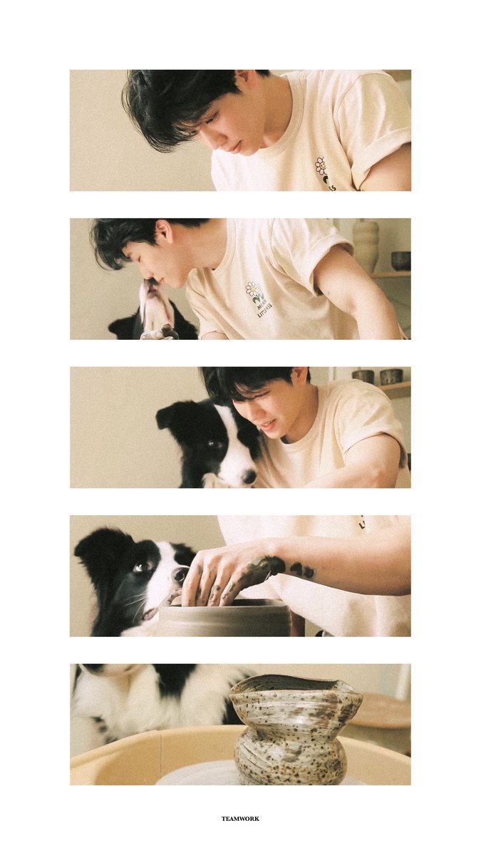 dimplecollector's tweet photo. teamwork🐾👦🏻🍶

#warwanarat
#sammerbcollie https://t.co/DTVYwyAKJm