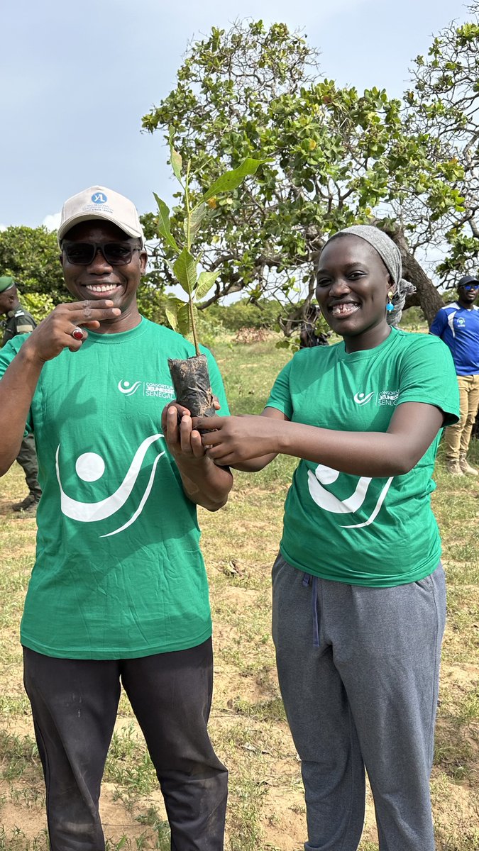 TontonVert's tweet photo. J’ai planté mon arbre 🌳 
As tu planté ton arbre ?

📍Forêt classée de Mbao 🤩
Merci guys Vous avez répondu présent .

2500 🌳 plantés 😭 c’est un bonheur énorme .
#JourneeDelArbre2024
#QuartierVertChallenge
 @CjsSenegal https://t.co/tGQG3DnKx9