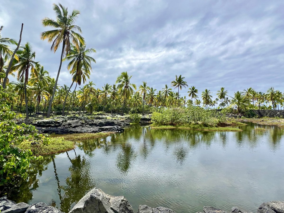 Dustin Staiger tweet media