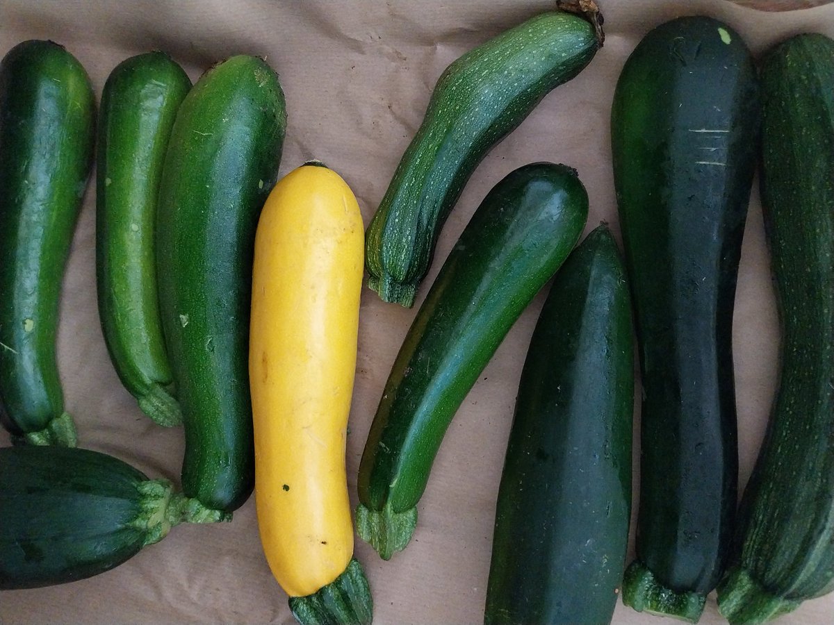 Coopérative Grande épicerie générale Nancy tweet media