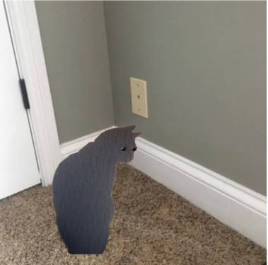 sol.az💥 tweet media