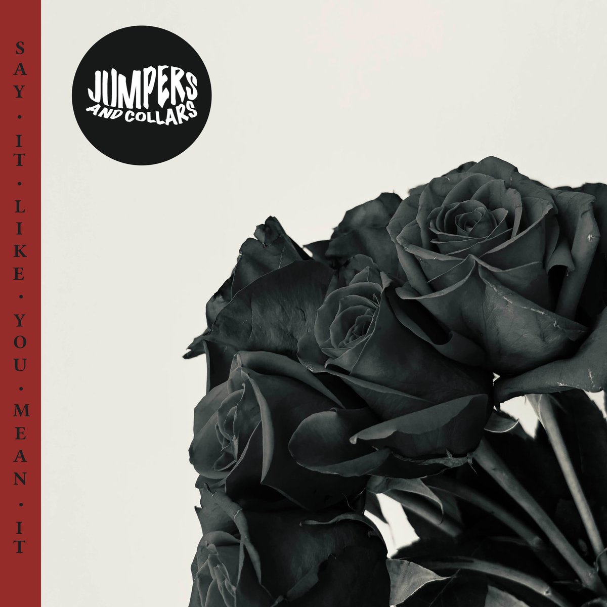 JumpersCollars's tweet image. 🚨Breaking: Jumpers and Collars are so back!🚨 We are very excited to announce that our new single ‘Say It Like You Mean It’ will be out on all good streaming platforms next week. Stream it please please please please please please please #newmusic