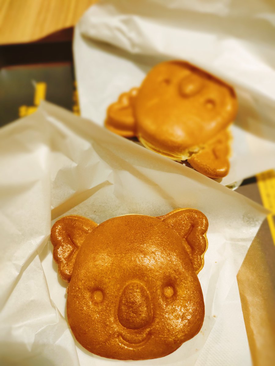 Shii_417_'s tweet photo. @higesatoko チョコ味とクリーム味があったよー🐨 https://t.co/nJbcRicsxR