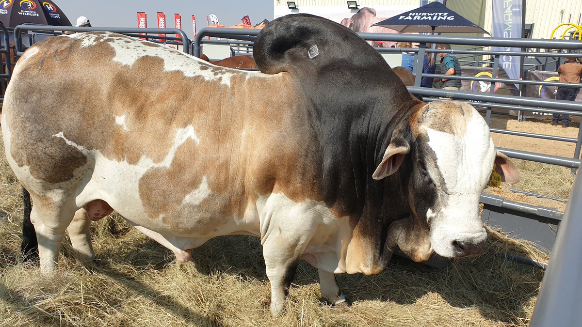 Farmer's Weekly tweet media