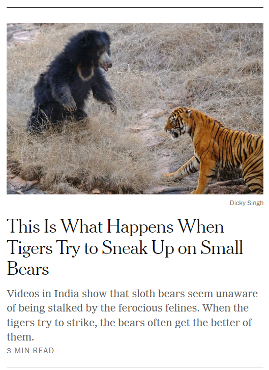 The NYT trying to appeal to those who don't want to be flooded solely with political stories...I'm here for it