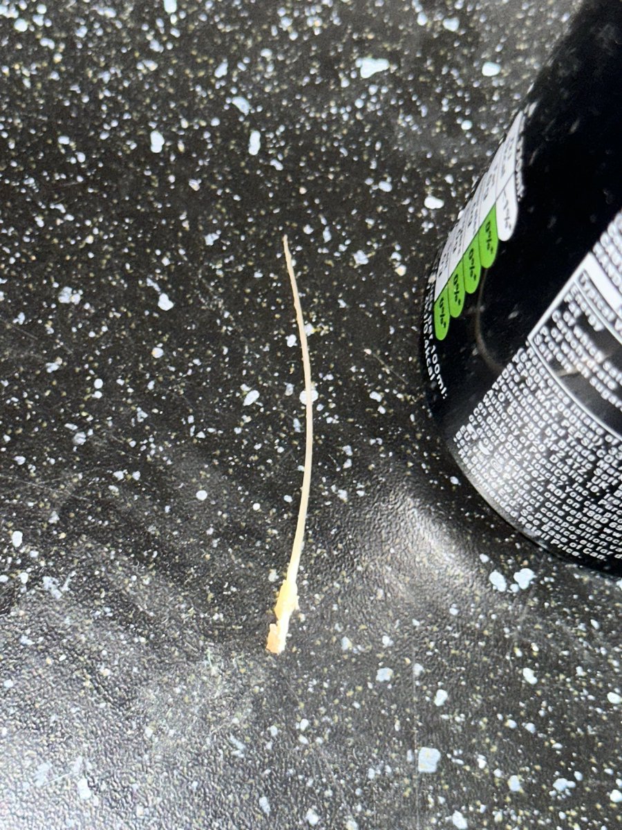 Robbo20002001's tweet photo. @PepsiMaxUK can you explain to me WTH is in my can? It’s like a damn fish bone!! https://t.co/C2wczfKH0Q