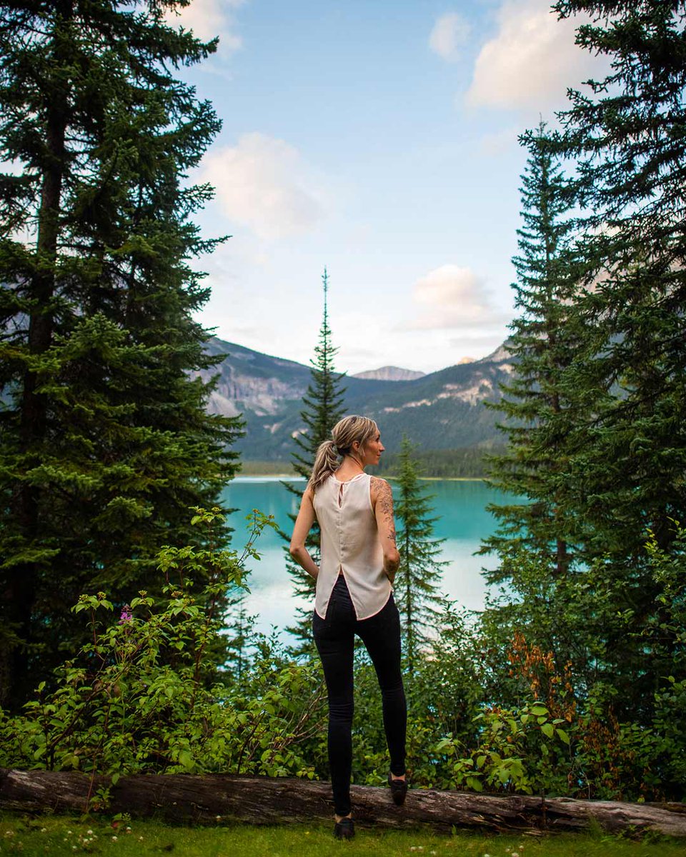 Emerald Lake Lodge tweet media