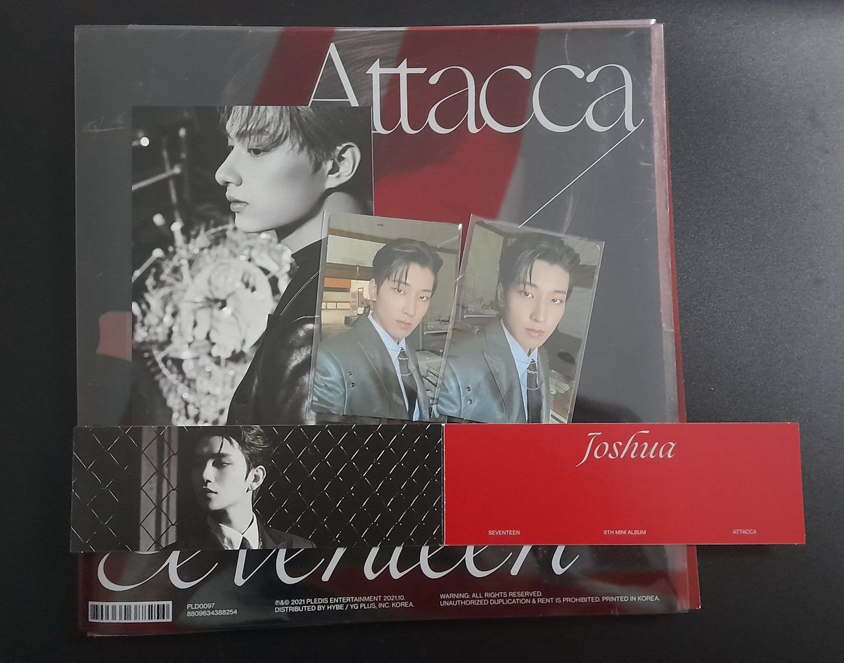 🐱 tweet media