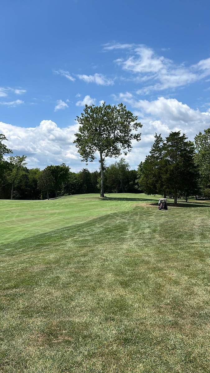 reedsw0rld's tweet image. Dear #GolfTwitter…

cc @drip_flood
