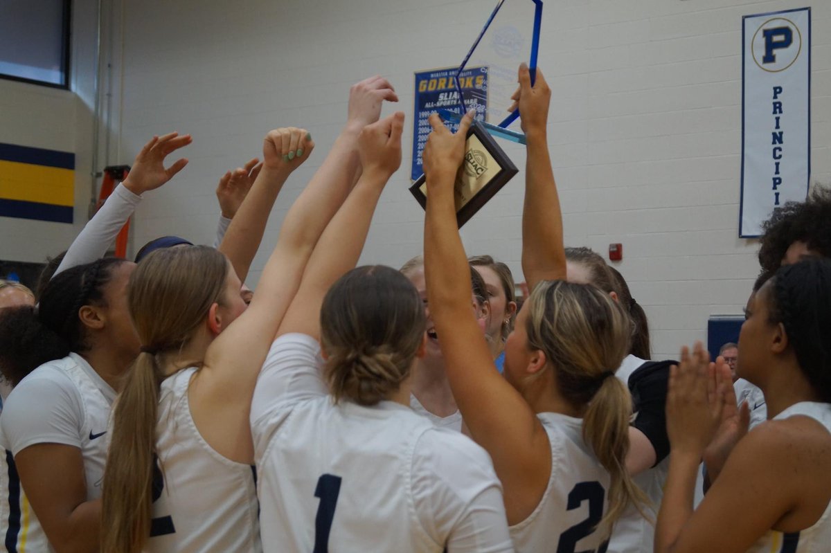 This program is on the rise! Built the right way w/ student-athlete focus, player driven, high standards, team mindset, championship mindset and high expectations. This program might just be for you! Program full of passion, competitiveness and hard work! <a href="/GorlokWBB/">Webster University Women's Basketball</a> is for you!