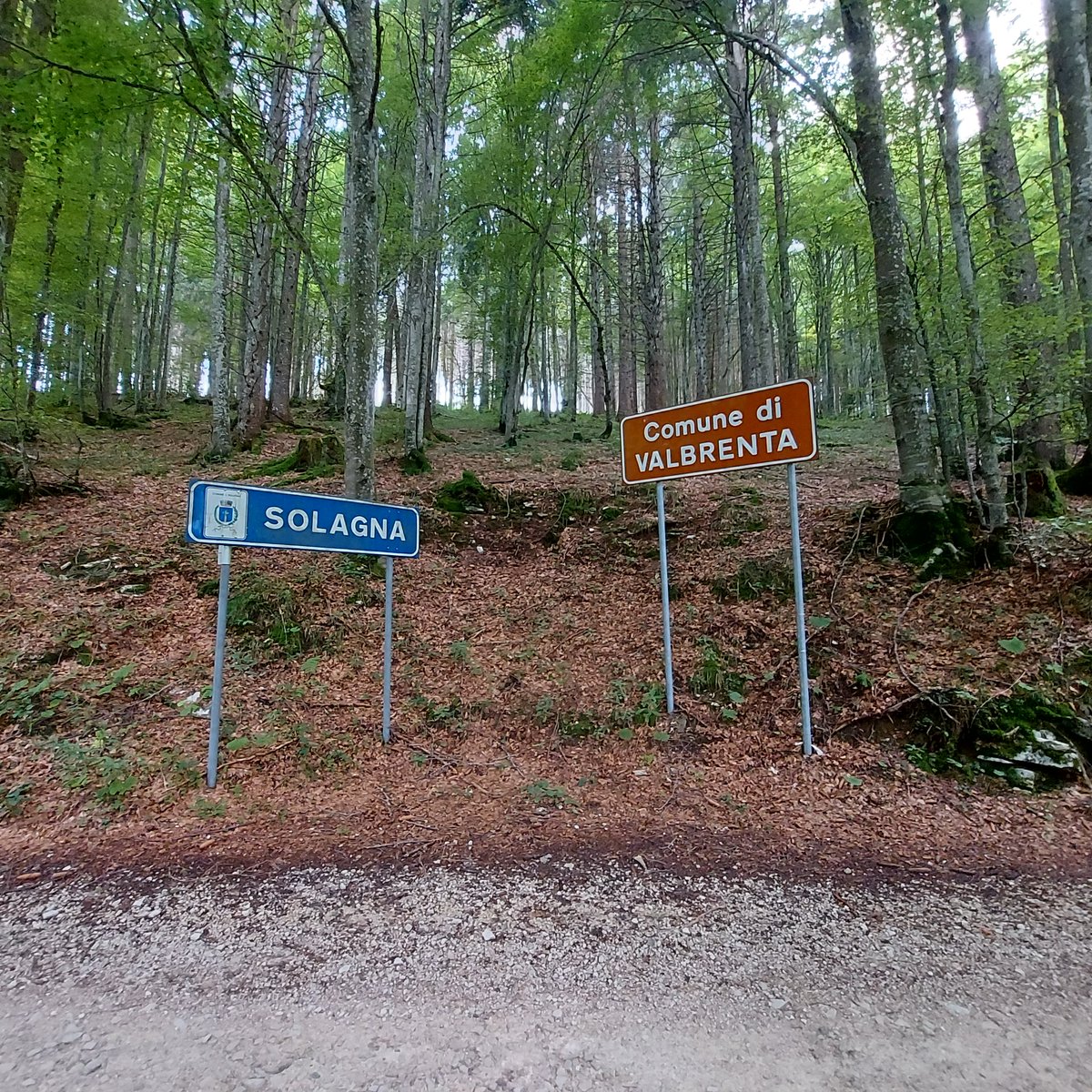 alex63roy1's tweet photo. #Passeggiata #Solagna #Valbrenta https://t.co/cSrl3q8BW0