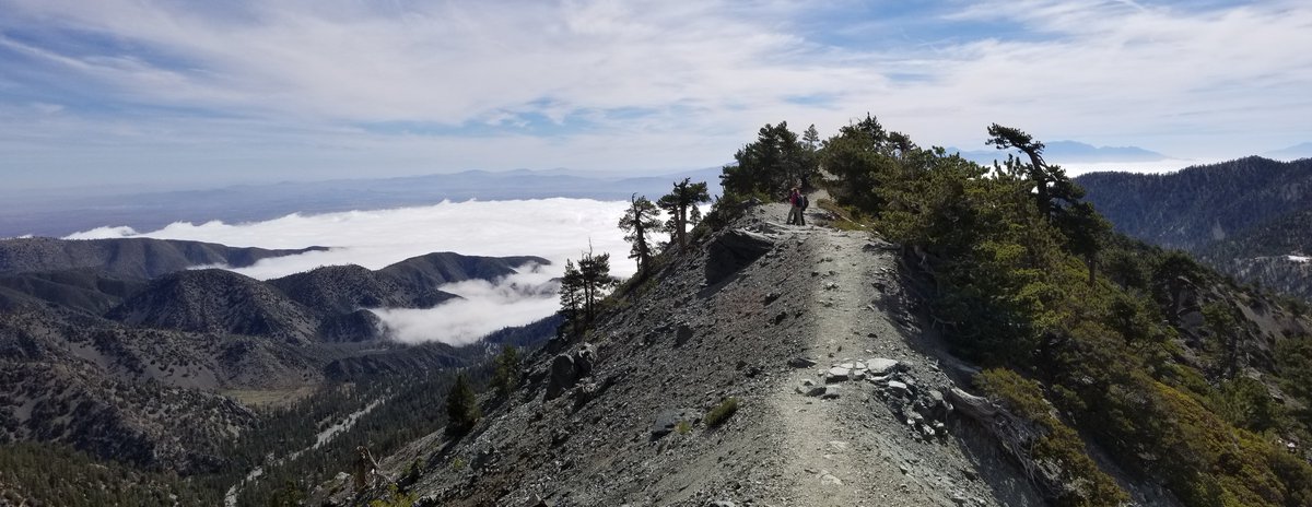 Angeles National Forest tweet media