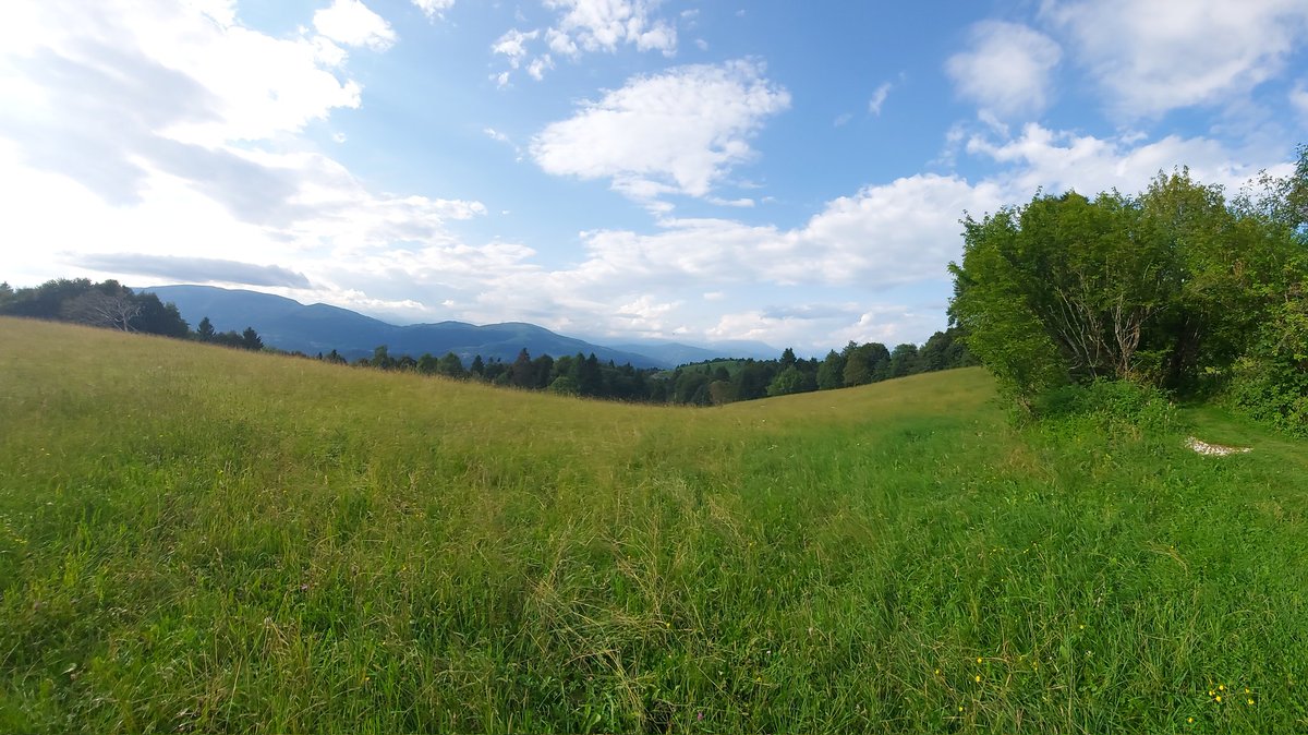 alex63roy1's tweet photo. #Passeggiata #Solagna #Valbrenta https://t.co/PV52g5epOz