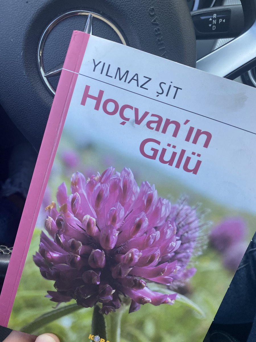 ozgur_sit's tweet photo. https://t.co/sKtf74xiJc