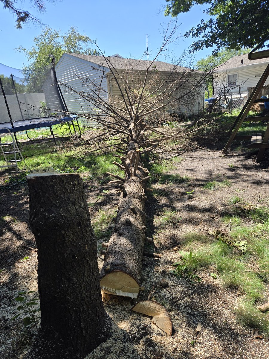 The Eighth Sage of Hyrule tweet media