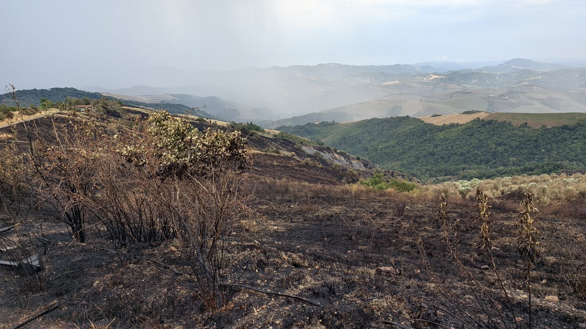 AlbertoNuzzo's tweet photo. Pomeriggio dedicato al servizio Antincendio Boschivo (AIB). Si controlla la zona di Montecalvo! #protcivbo https://t.co/wu91o0x6iS