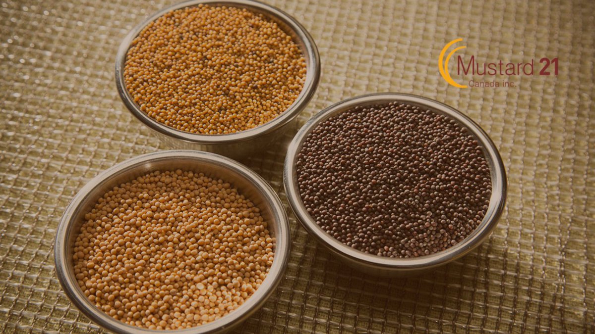 🎉 🎉  Happy National Mustard Day! 🎉 🎉