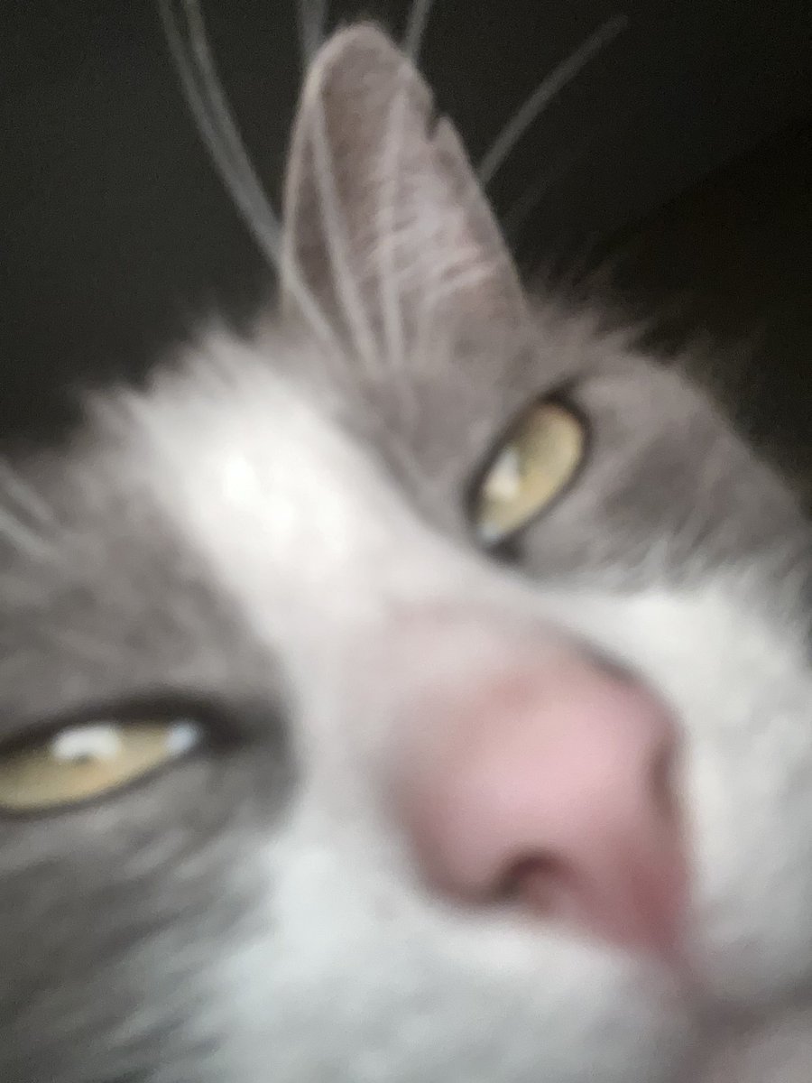 Andreaaapaa's tweet image. 