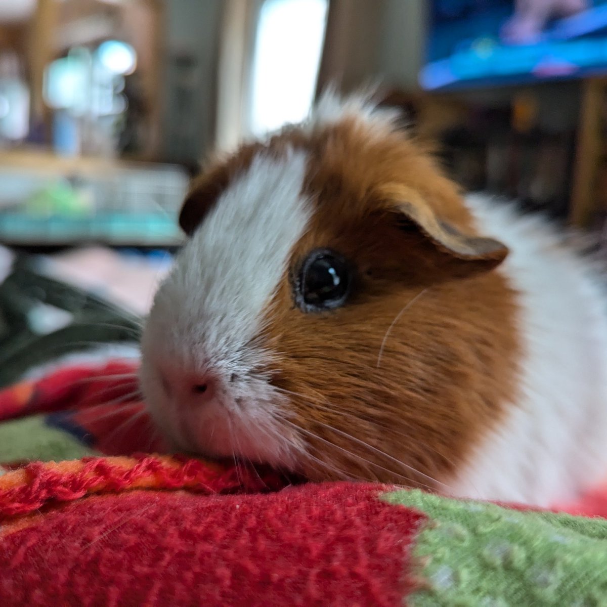 b.andherbooks 🕯🔮🕯 📚 tweet media