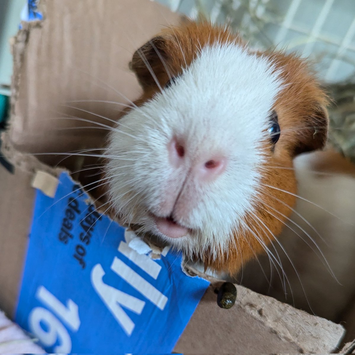 b.andherbooks 🕯🔮🕯 📚 tweet media