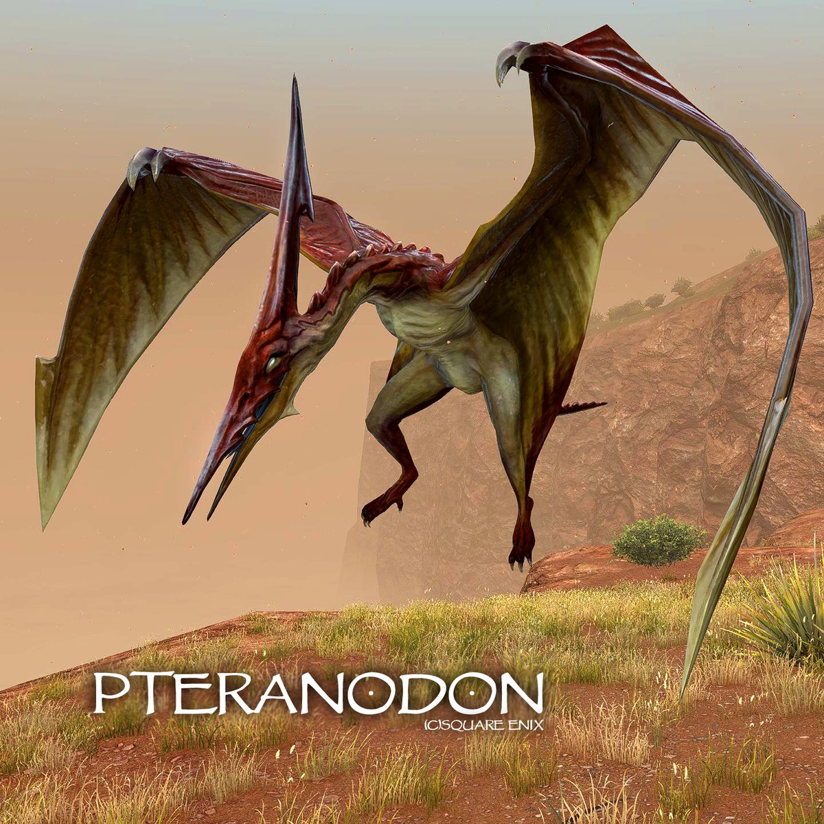 甲鱗網「プテラノドン」属 古代より姿を変えない有翼の甲鱗綱