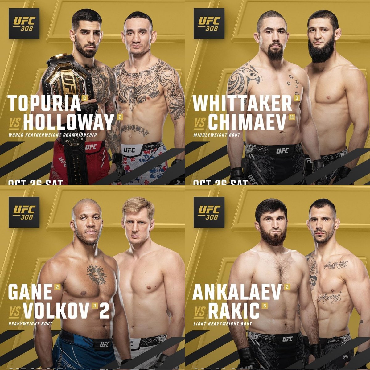 DovySimuMMA's tweet image. #UFC308 is fckin stacked