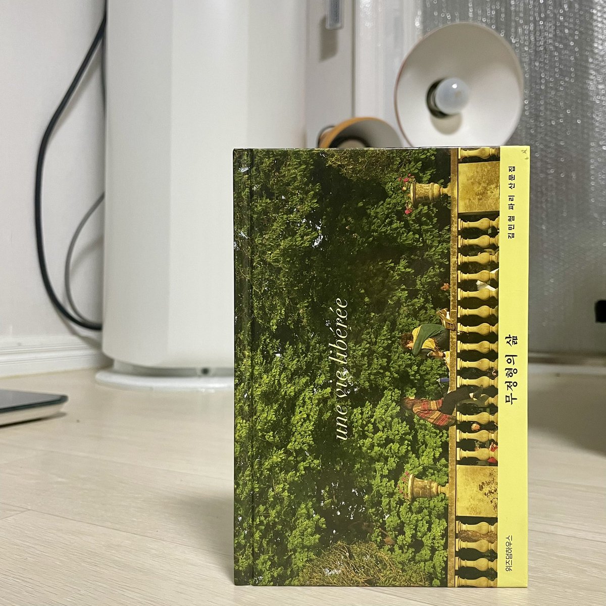 flaneuroh's tweet image. “그날 알았다. 똑같은 그림을 나에게 넣고 섞었는데, 슬픔이 나왔던 시절이 있었고, 용기가 나오는 시절이 있다는 걸. 내가 바뀐 것이다. 내게 필요한 것이 바뀐 것이다.” 

―김민철, 『무정형의 삶』(위즈덤하우스, 2024) 中에서 

20240803