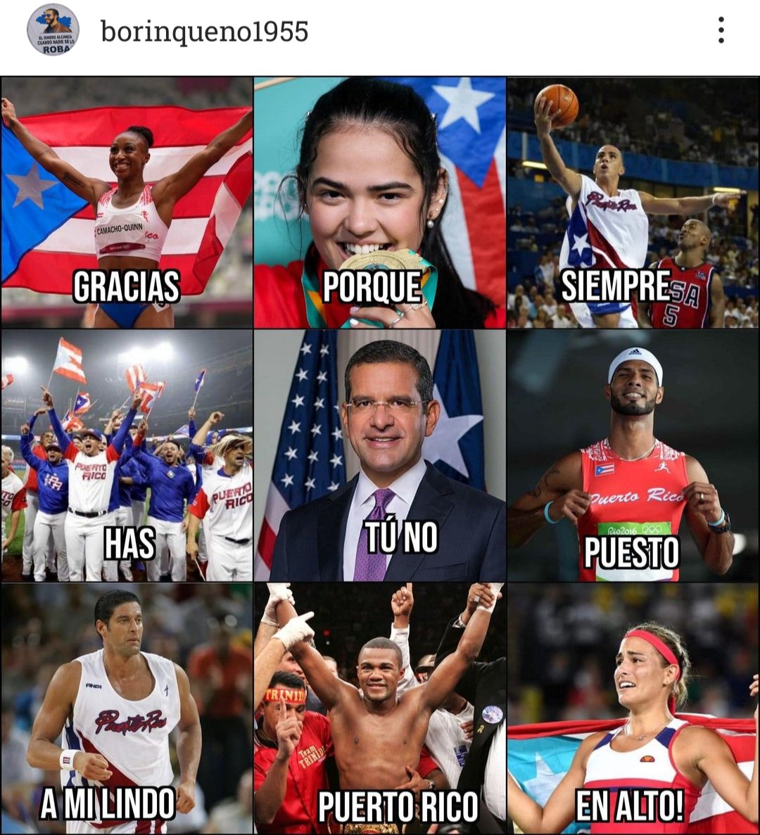 Gato544960's tweet image. 