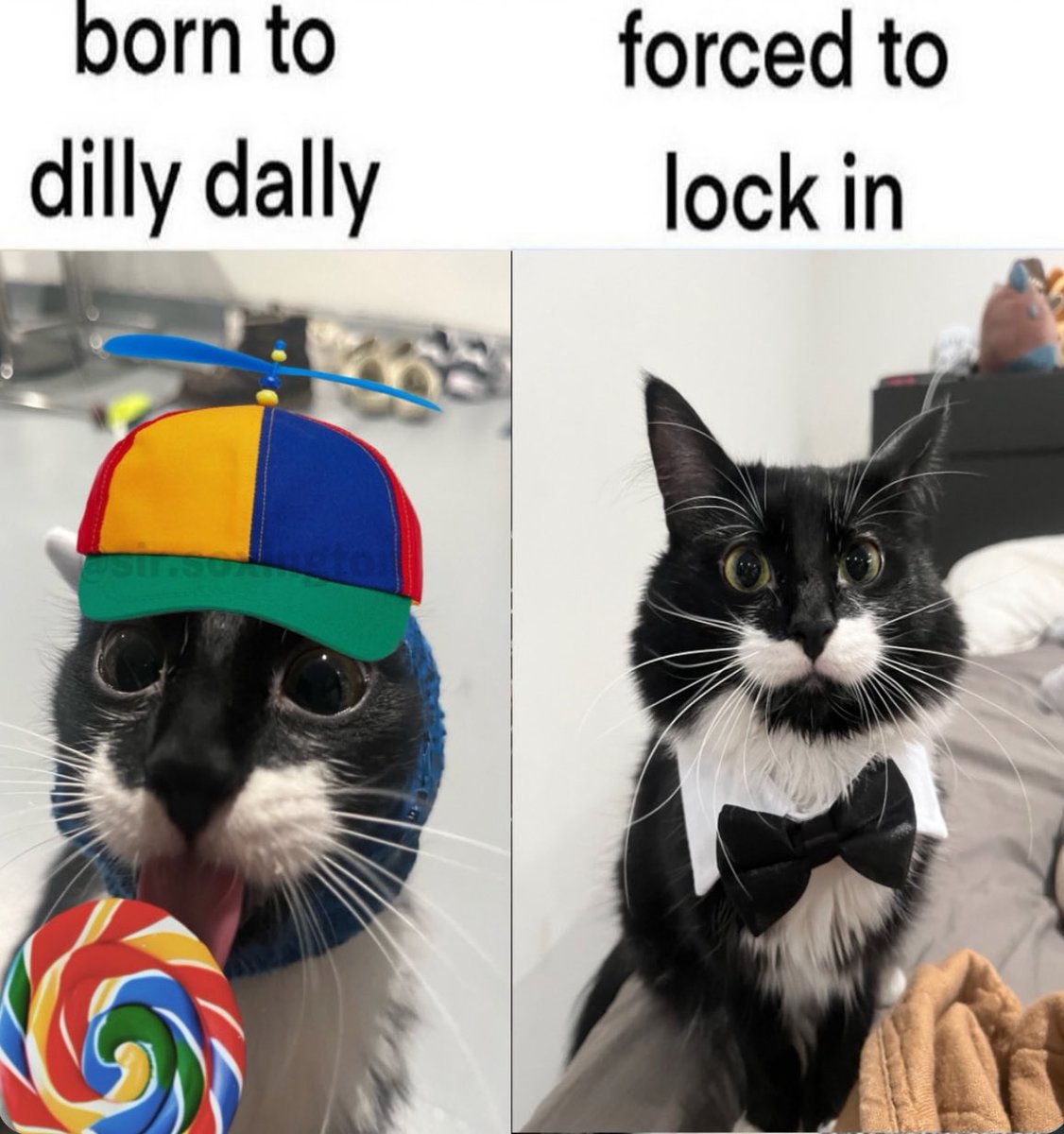 nocontextmemes's tweet photo. https://t.co/MtPPjZt6Ye