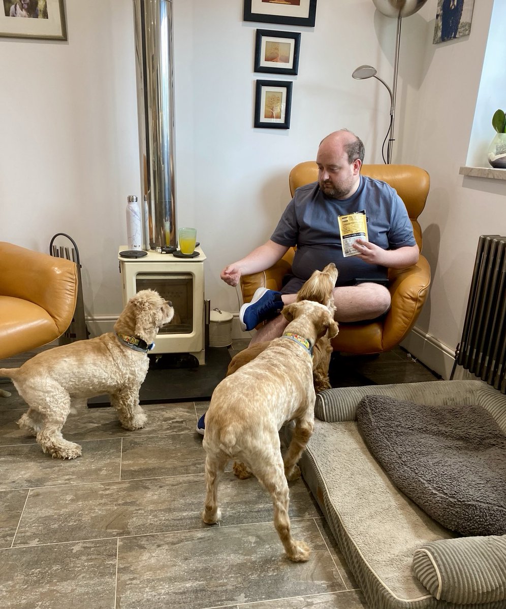 SpanielsSuper's tweet image. HuSis &amp;amp; Tom are here 

He’s very good at #Treats 
#NoLimits 
#MorePlease