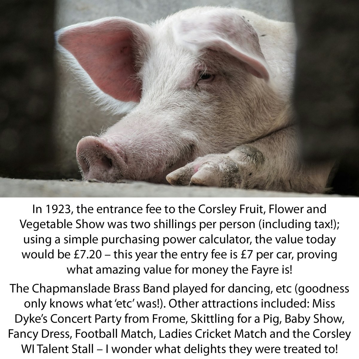 Corsley Fayre (@corsleyfayre) on Twitter photo 