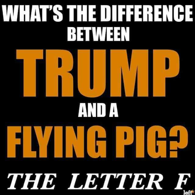 SafeH2o4Schools's tweet photo. @ByronJo34131043 #HarrisForPotus2024 
#trumpfor https://t.co/jgILnEhkVm