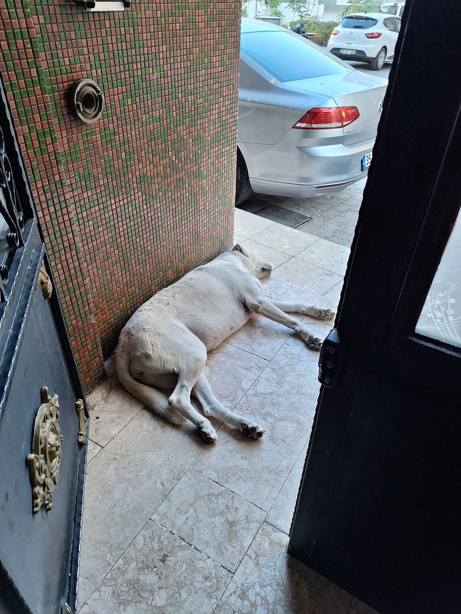 m3vzu's tweet photo. 🔴İzmir Bornova'da 3 yaşındaki çocuğuyla birlikte dışarıya çıkmaya çalışan bir annenin gönderdiği fotoğraf. https://t.co/KiPPb8tHIM