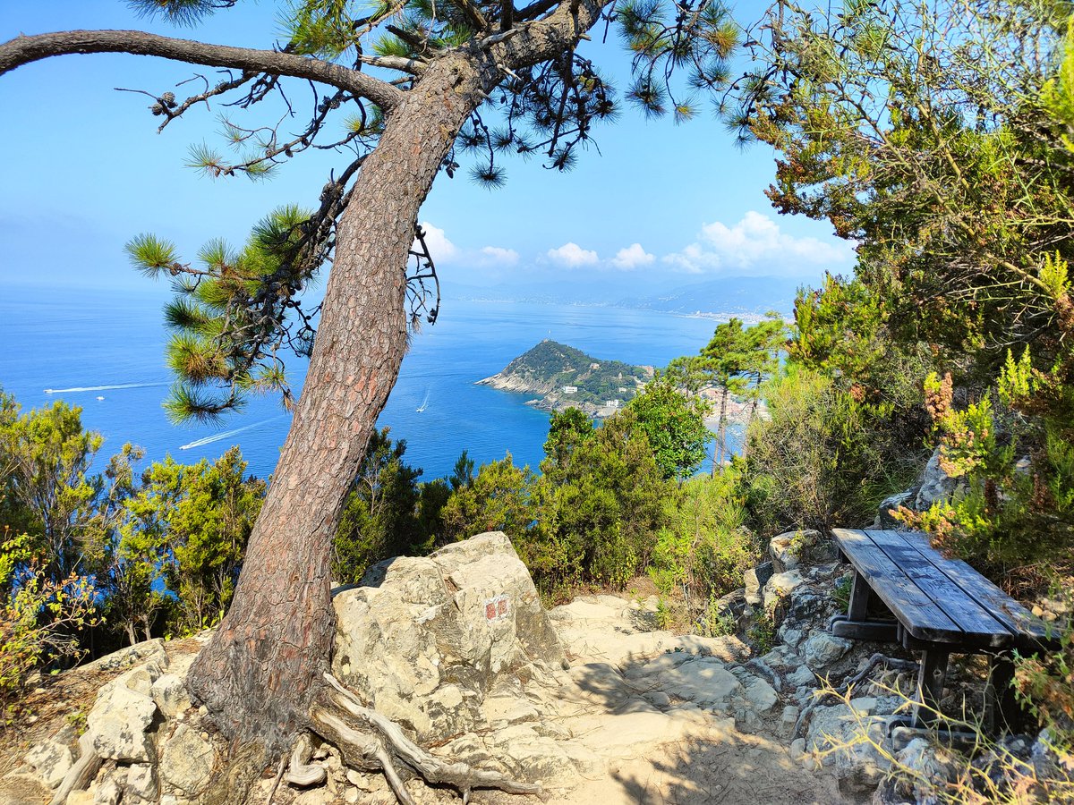 agowitter's tweet image. Views @ThePhotoHour @StormHour