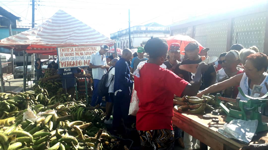 DamarisPalmaCAM's tweet photo. Variedad de ofertas este sábado en la feria agropecuaria en #PalmaSoriano. #TuAporteCuenta @DiazCanelB @SuarezYoandrys @IlsyCabrera https://t.co/dehy2YLQoQ