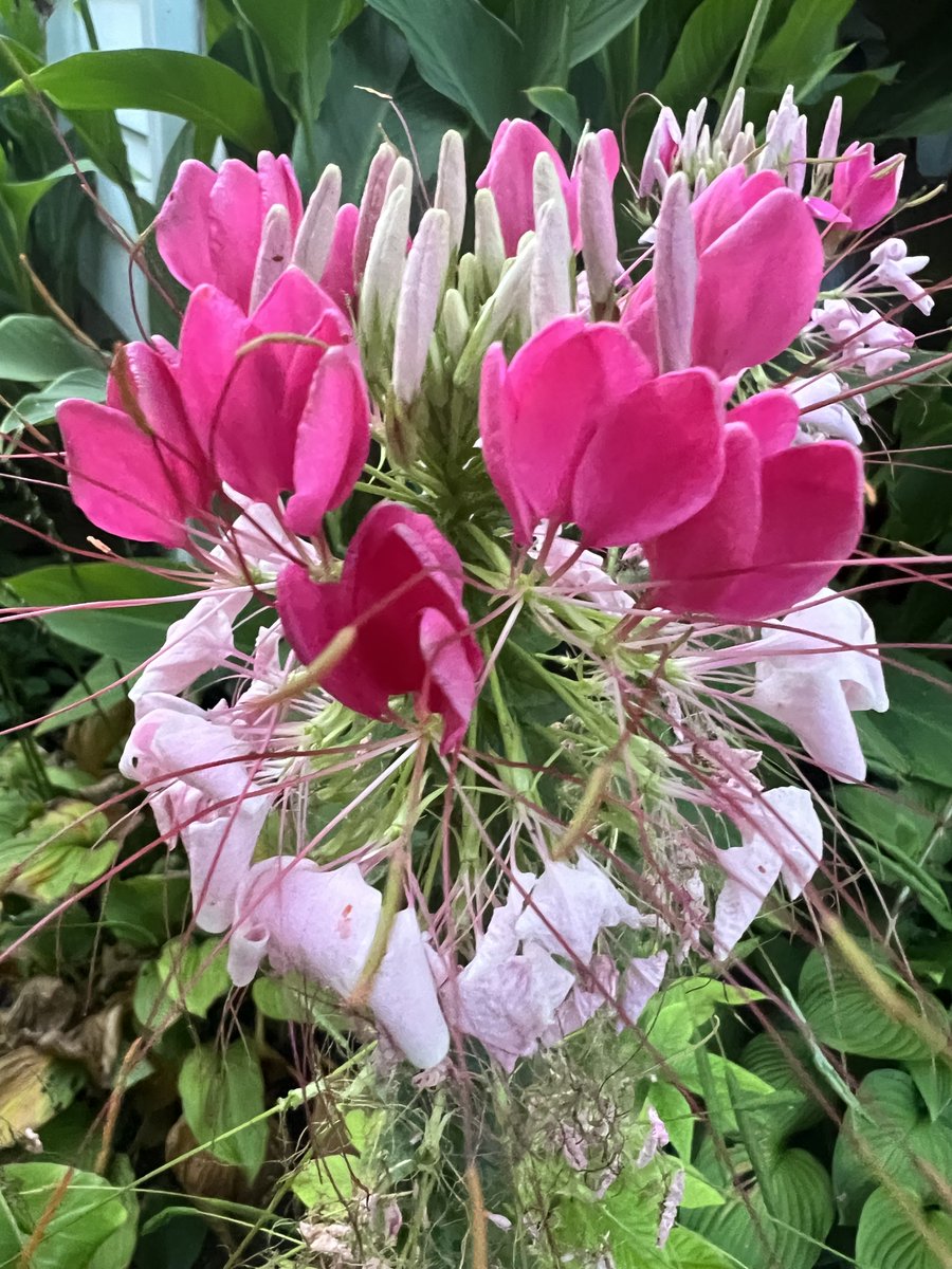 Jimshere1's tweet image. Have a great weekend