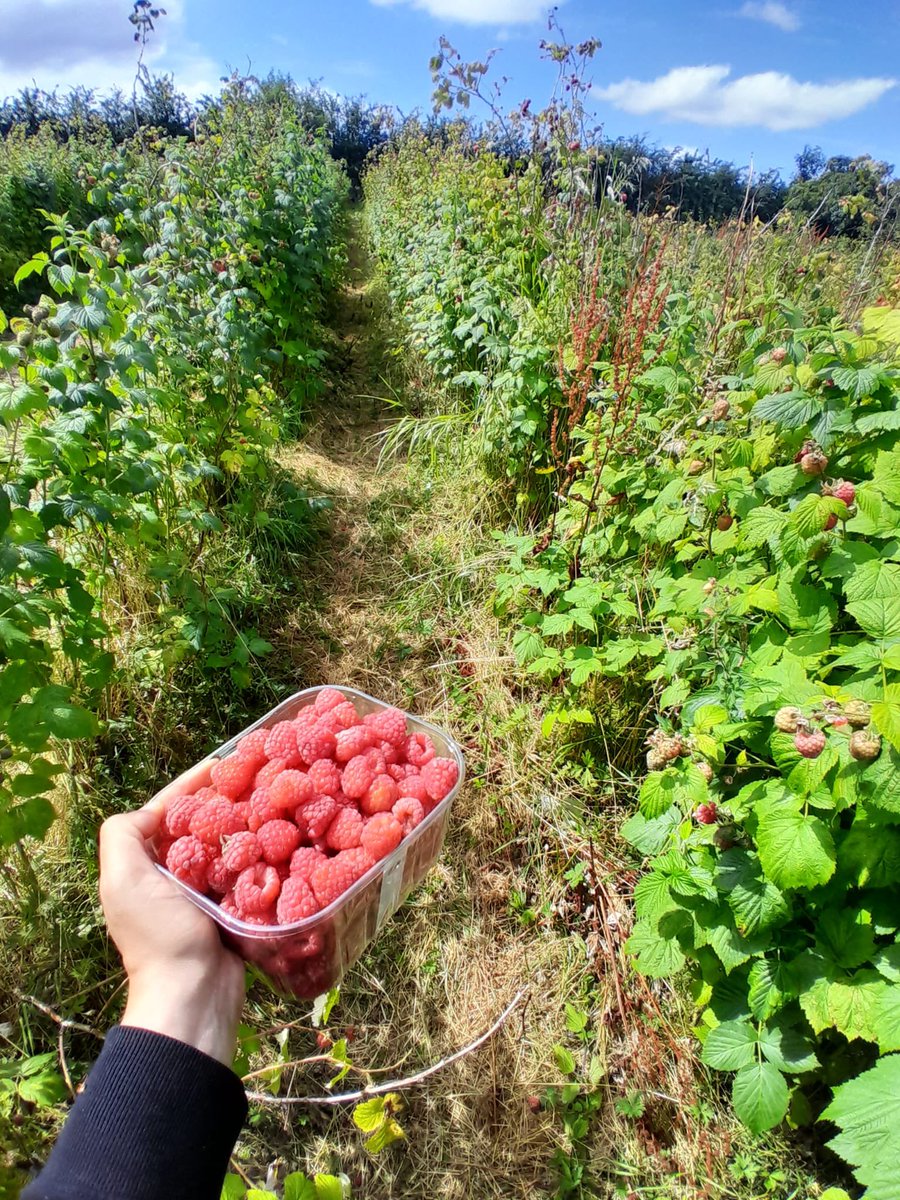 Brigitte Kaviani 💔 tweet media