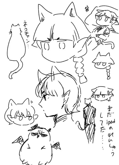 iPadの練習まだしているよ 