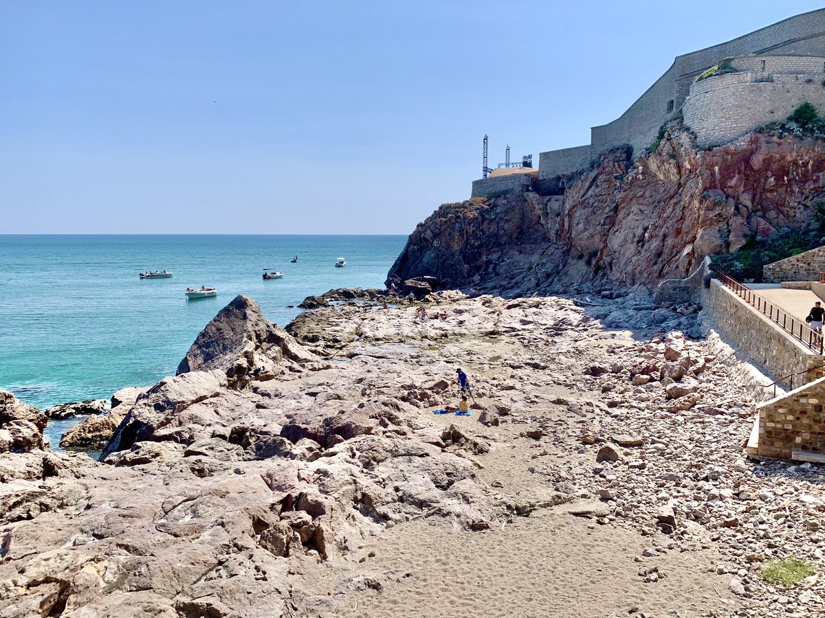 Pierre Nocca tweet media