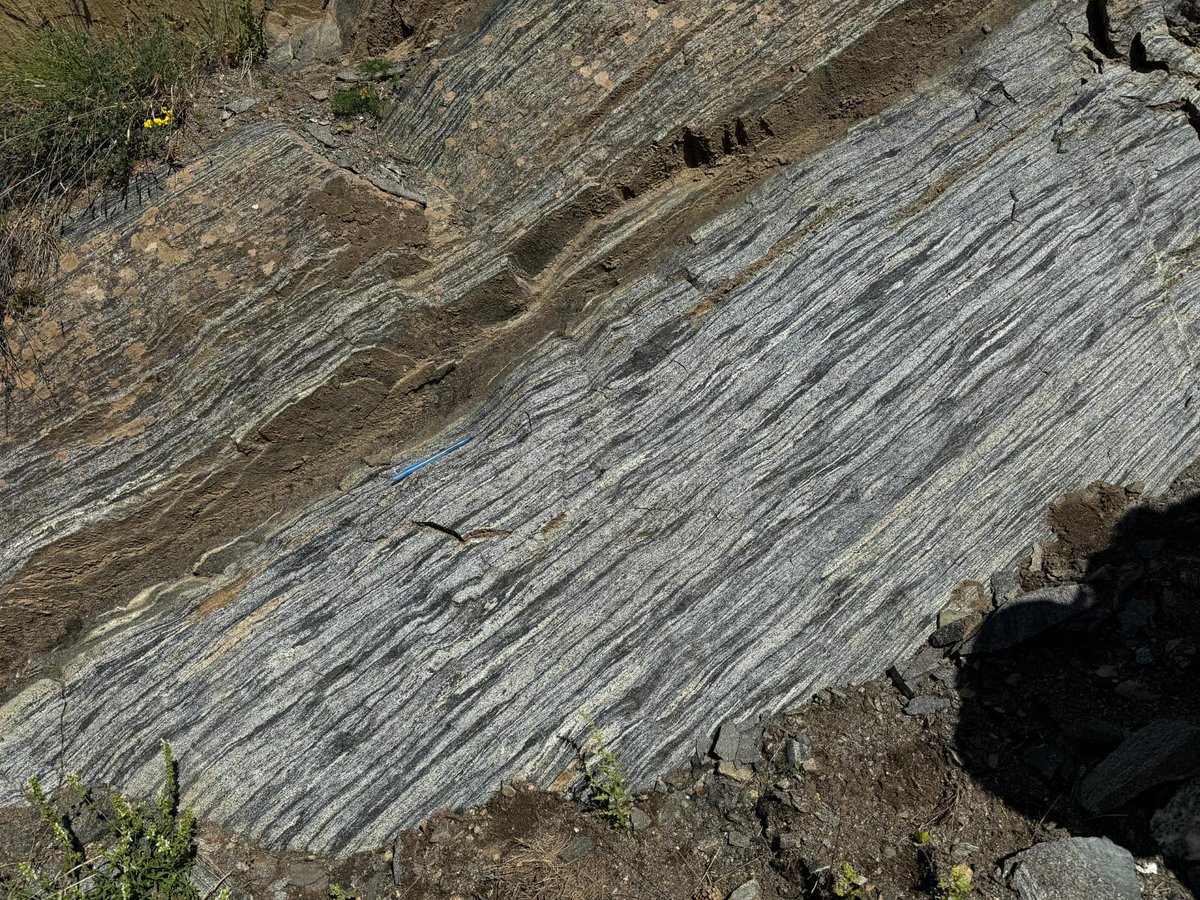 Deformation, Fluids, Tectonics Group #UniBO (@dft_unibologna) on Twitter photo Giuntoli F, Zuccari C, Petroccia A and Casoli L at the <a href="/GigsItalia/">Gruppo Italiano di Geologia Strutturale - GIGS</a> fieldtrip organised by Milano Statale and Catania Universities. It was a very "hot" pleasure to see the #Permian Valpelline #migmatites and amazing outcrops with insane #garnets.
#Strcturalgeology
#Tectonics Giuntoli F, Zuccari C, Petroccia A and Casoli L at the <a href="/GigsItalia/">Gruppo Italiano di Geologia Strutturale - GIGS</a> fieldtrip organised by Milano Statale and Catania Universities. It was a very "hot" pleasure to see the #Permian Valpelline #migmatites and amazing outcrops with insane #garnets.
#Strcturalgeology
#Tectonics