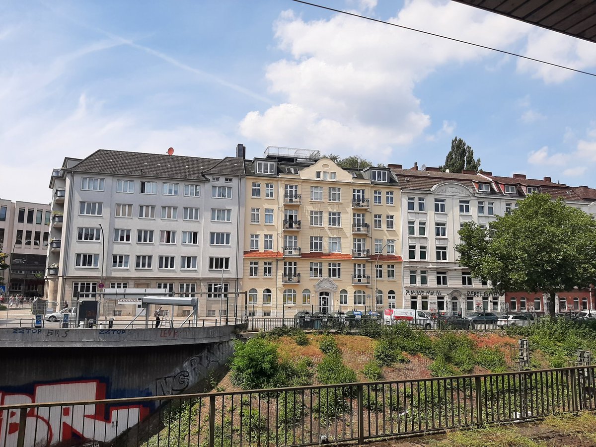 InselPellworm's tweet photo. @hypopara_msd Määh, Gruß nach HH 👍 https://t.co/FYXr2IzQT1