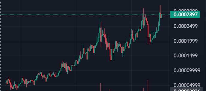JET_Cto's tweet photo. LOOK HOW MUCH BULLISH $JET CHART IS https://t.co/zUfF8ixQKu