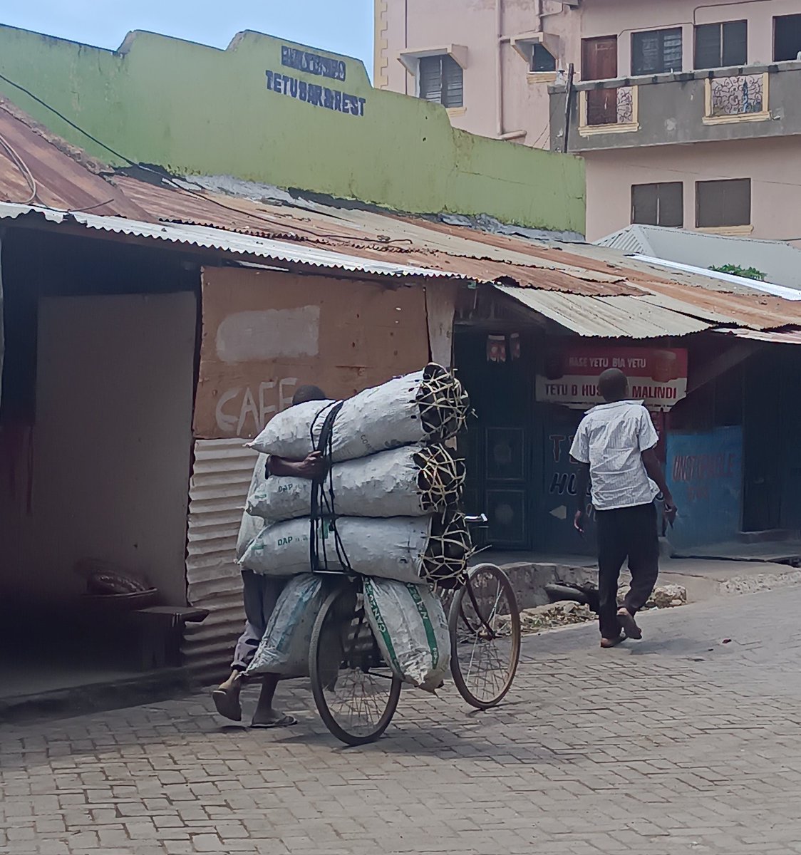 ElimuNaKaziKE's tweet photo. With such a trend no tree will be left in Magarini. None has been left in Chakama. And charcoal is being smuggled into Mombasa at night. We need cheaper gas for all this to change. #ClimateCatastrophe #ClimateCrisis #ClimateActionNow
#GeorgeRuto #BonifaceMwangi #Size8 #DJMo https://t.co/xrKUogD4Z0