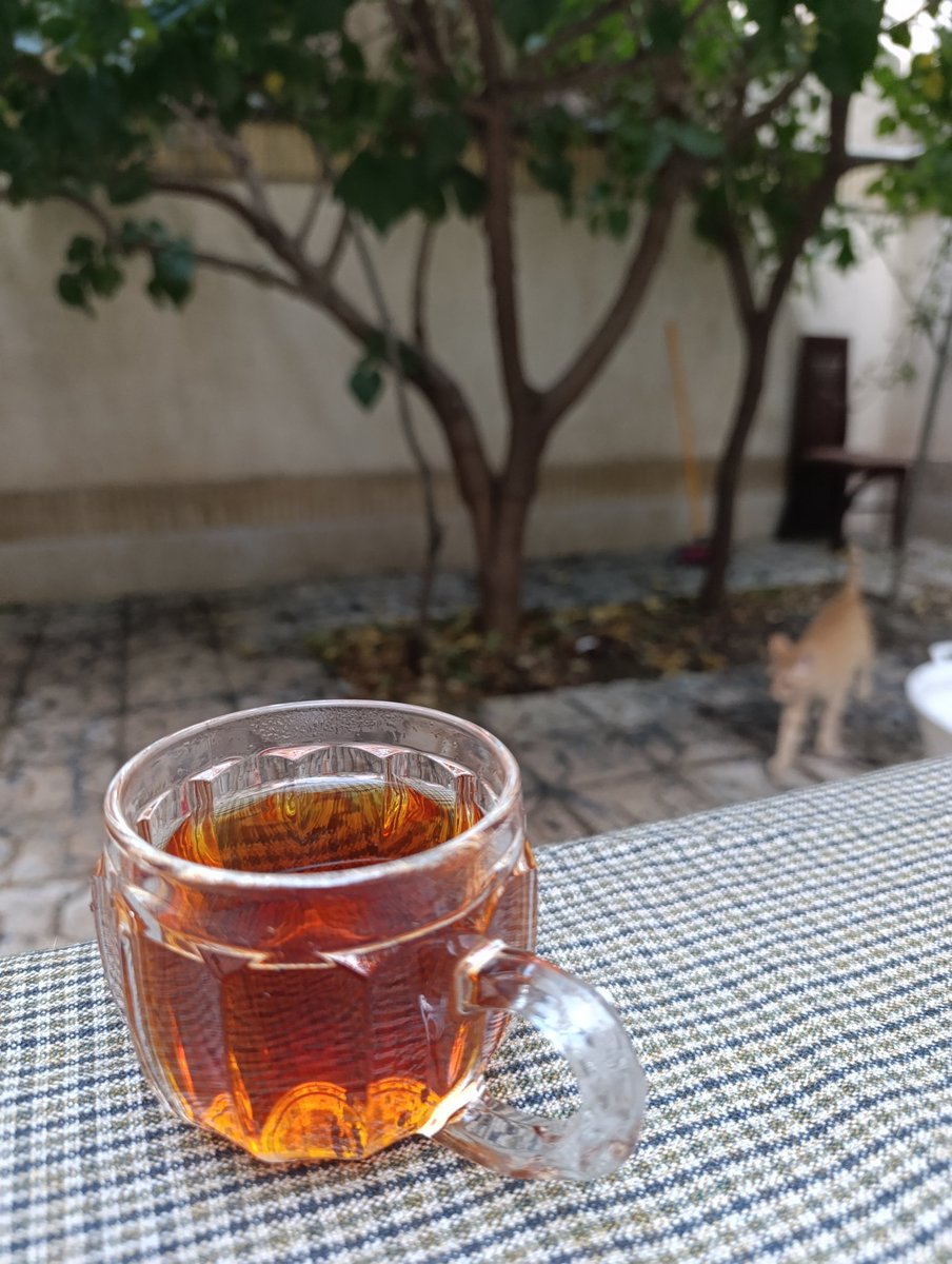 کنج عزلت