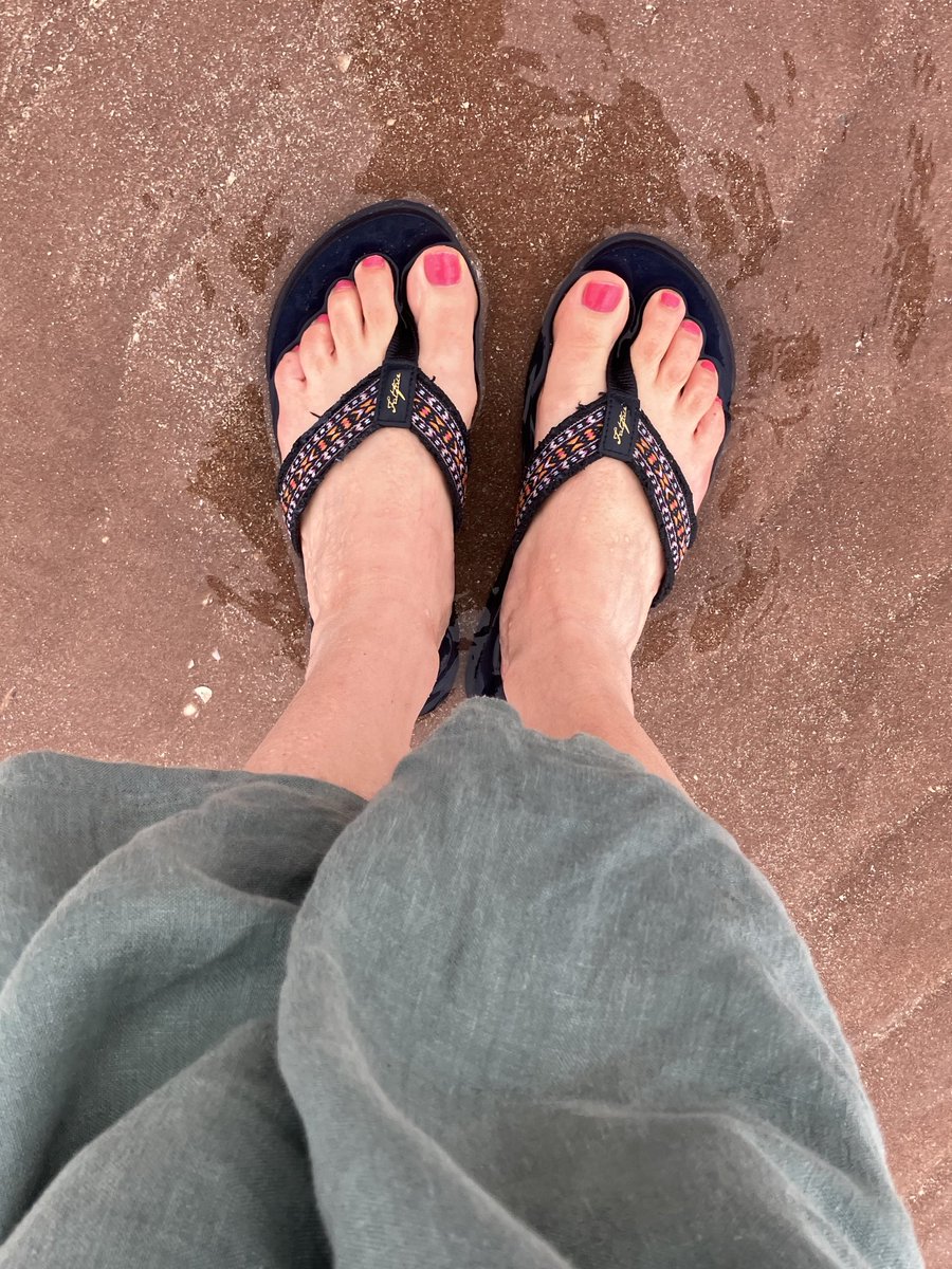 Sandra Dennis tweet media