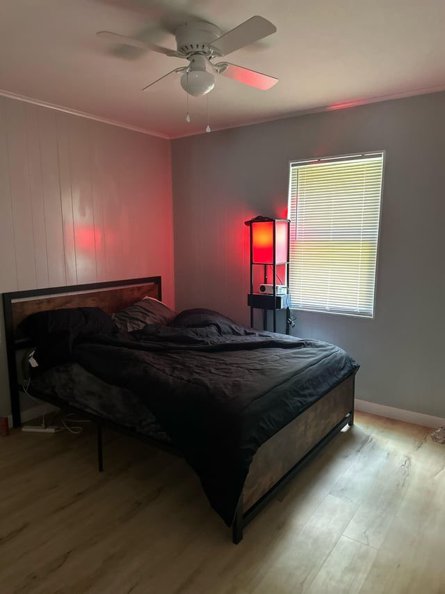 malelivingspace.txt tweet media