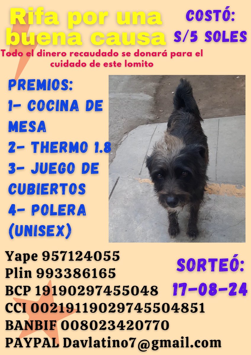 MirthaCastillov's tweet photo. Martíno, un perrito callejerito que lleva deambulando ya mas de un mes por villasol (los olivos).  Necesita ser rescatado, médicinas, alimento y un hogar calientito.
Colabora con una rifa, el precio es de 5 soles también dale RT para llegar a más personas.
Gracias. https://t.co/XaJtDwpawl