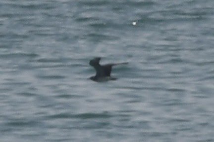 Stan Davis tweet media