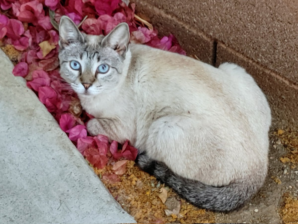 TheRealThelmaJohnson tweet media